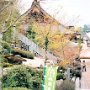 Miyajima Island, Japan